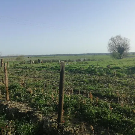 Normandieheritage14 Du Marais Dday Omaha * Canchy (Calvados)