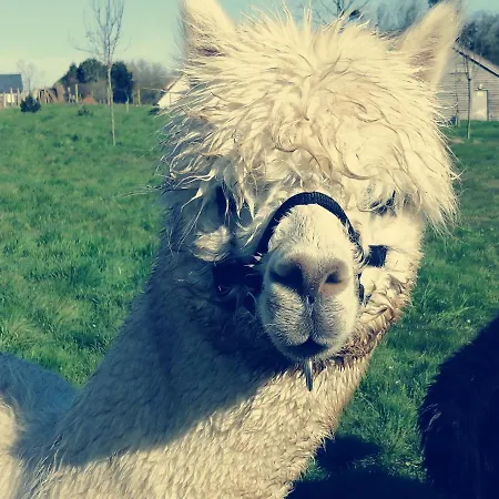 Normandieheritage14 Du Marais Dday Omaha Holiday home