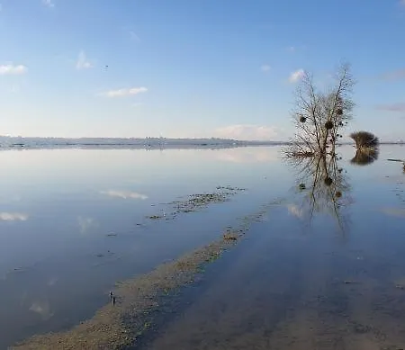 Normandieheritage14 Du Marais Dday Omaha