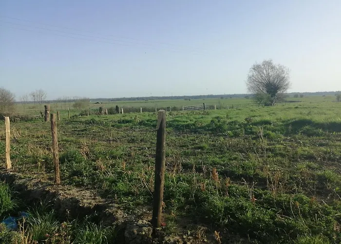 Normandieheritage14 Du Marais Dday Omaha * Canchy (Calvados)