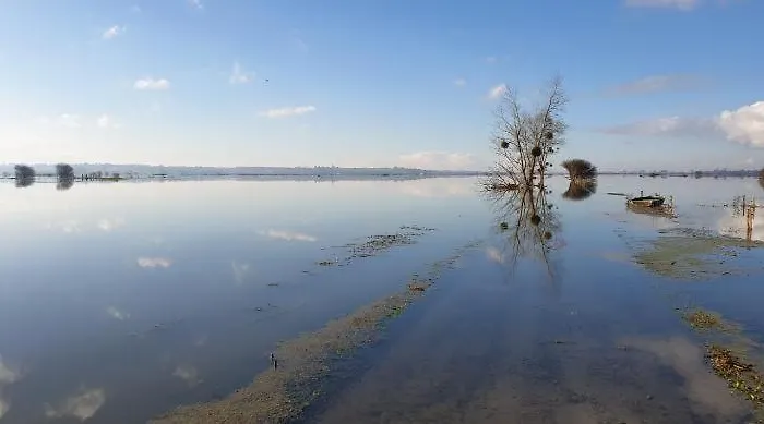 Normandieheritage14 Du Marais Dday Omaha