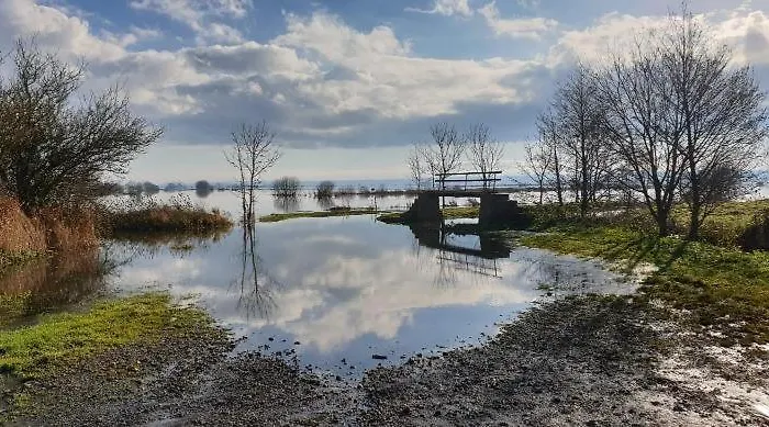 Normandieheritage14 Du Marais Dday Omaha *